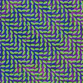 Animal Collective - Merriweather Post Pavillion LP