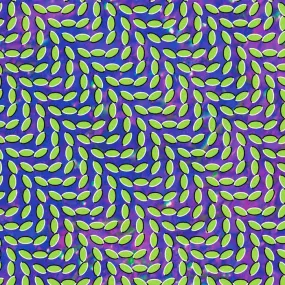 Animal Collective - Merriweather Post Pavillion