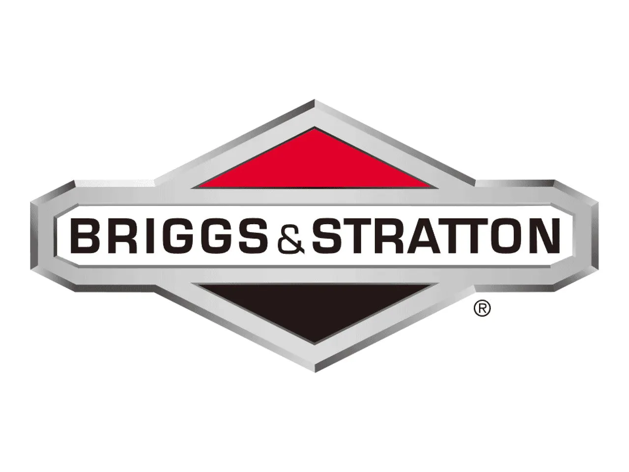 Briggs & Stratton - 1697092 - 48V RAPID CHARGER B&S 110V 60HZ