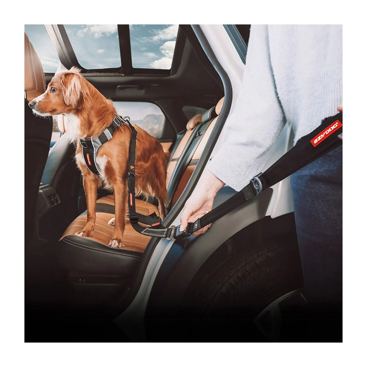 EzyDog Drive Travel Car Click Leash 52cm