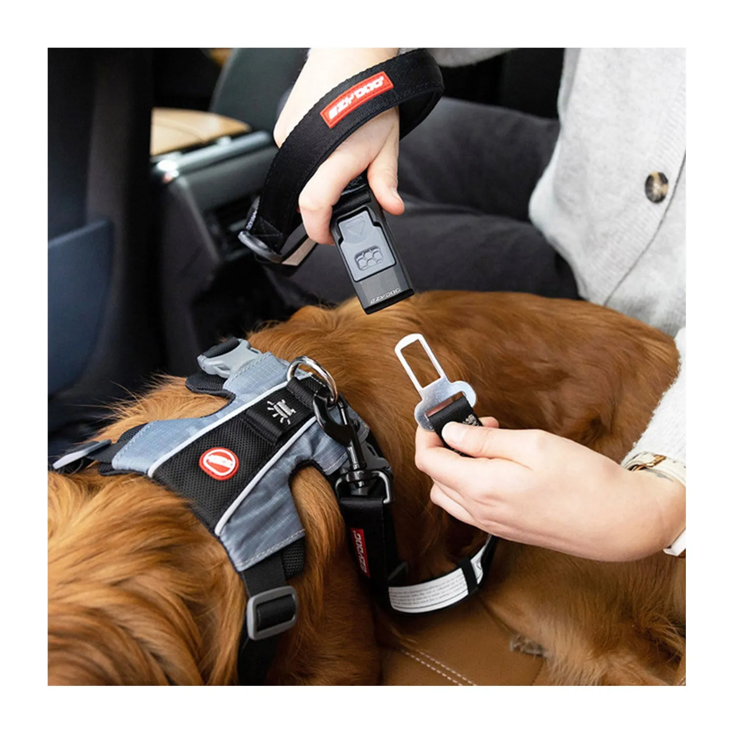 EzyDog Drive Travel Car Click Leash 52cm