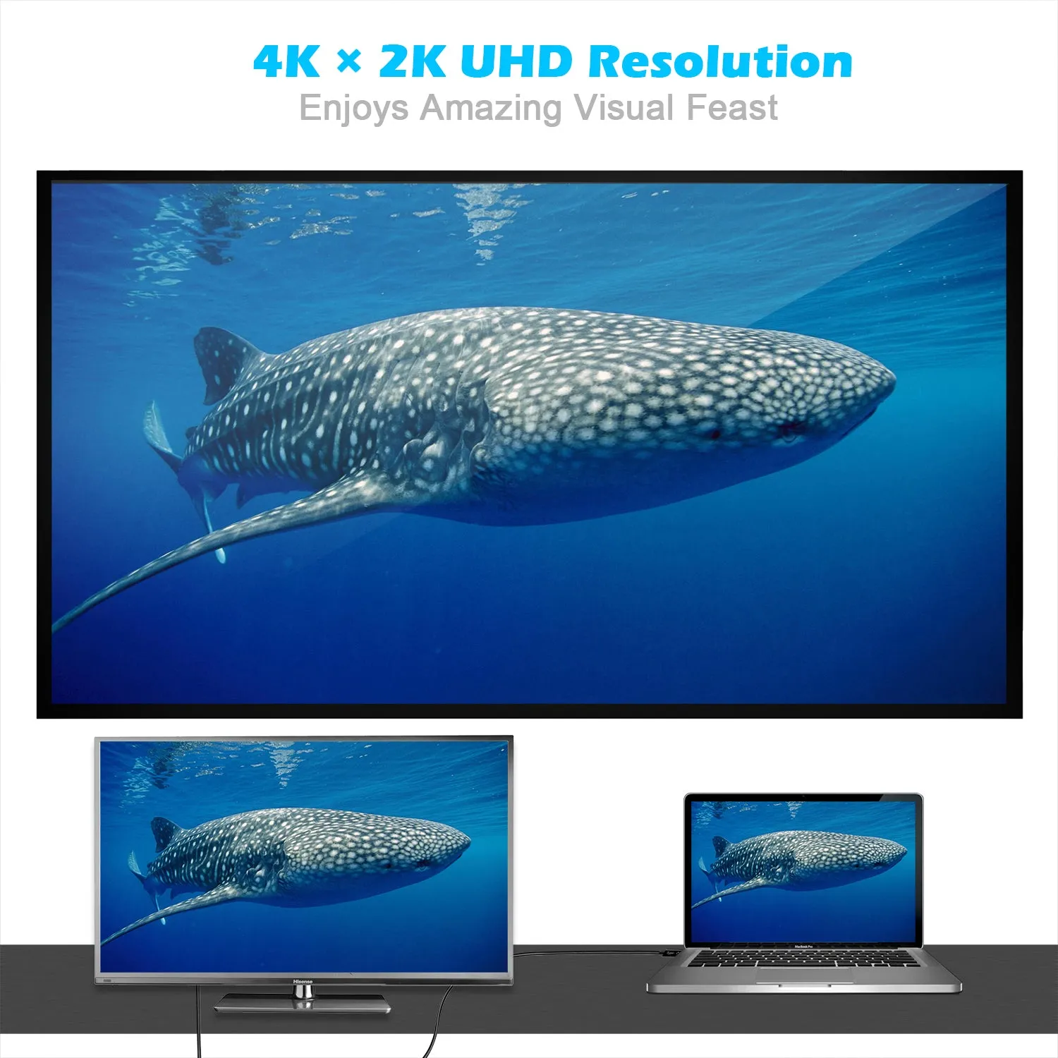 XCD-0018 CHOETECH USB C to DVI Cable 4K@30Hz (6FT/1.8M) USB Type C to DVI 24 1 Adapter